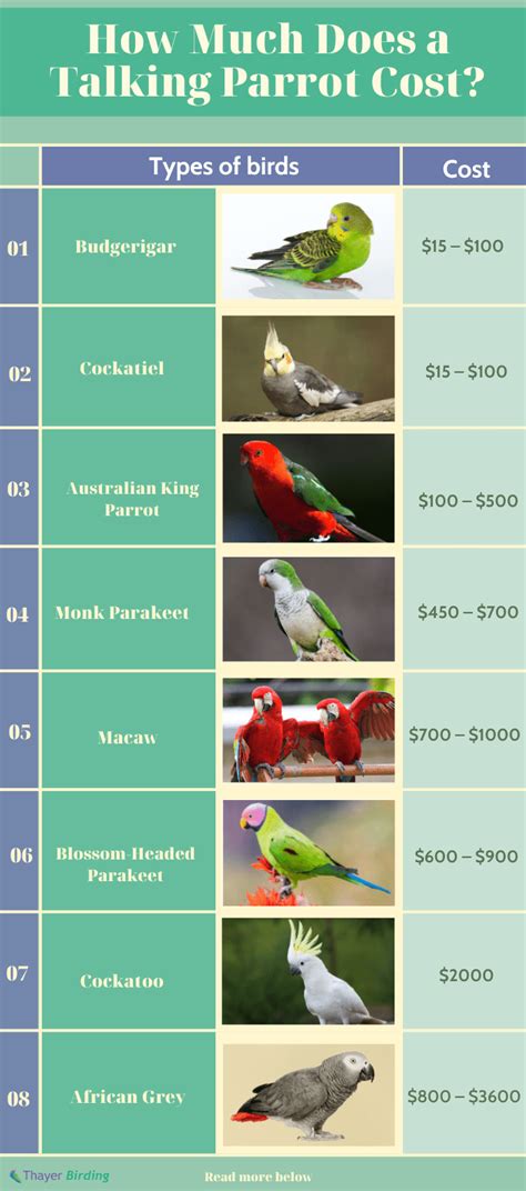 what are the cheapest parrots
